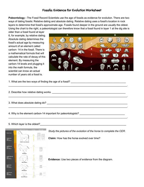 evidence for evolution worksheet